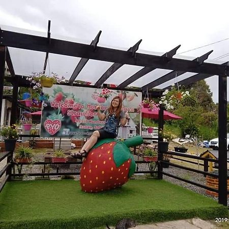 Berries Residence Kampong Kundassan 외부 사진