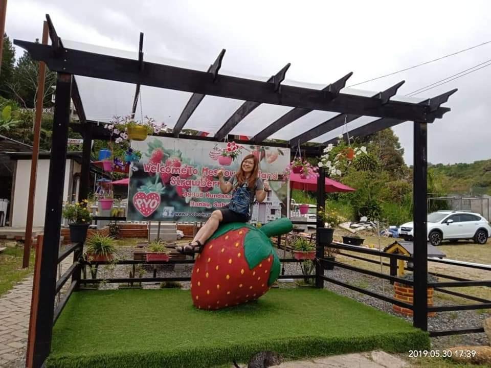 Berries Residence Kampong Kundassan 외부 사진
